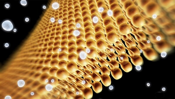 Filtration and membrane testing